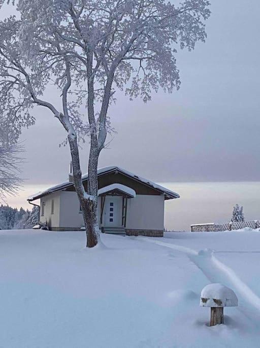 Ferienhaus In Schoenheide Im Schoenen Erzgebirge Dış mekan fotoğraf